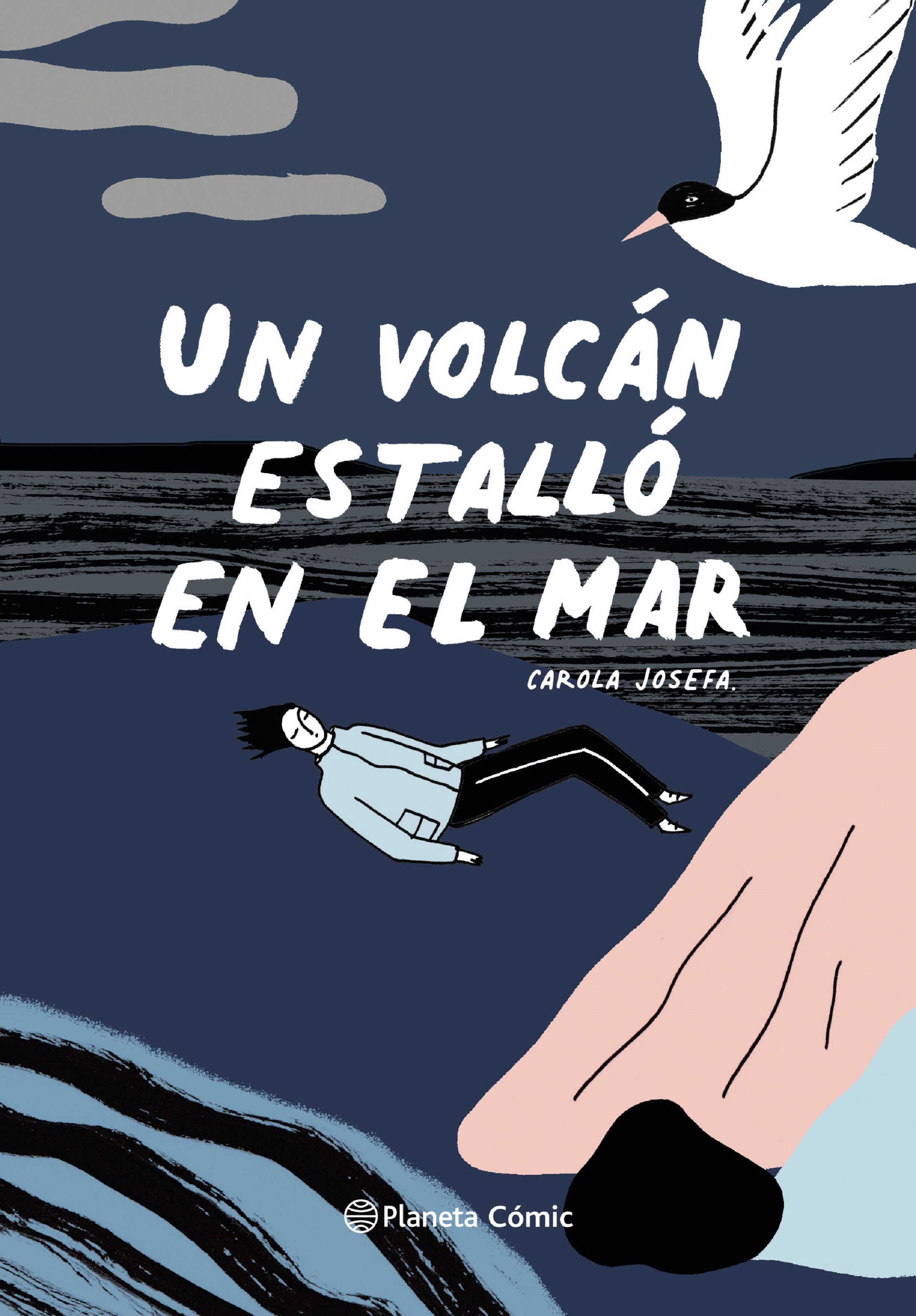 Un volcán estalló en el mar / Carola Josefa Araneda Órdenes