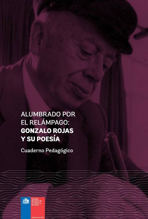 Alumbrado por el relámpago : Gonzalo Rojas y su poesía : cuaderno pedagógico 