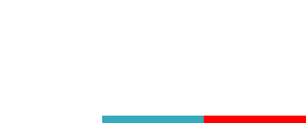 Biblioteca Pública Nº 526 Gonzalo Rojas Pizarro